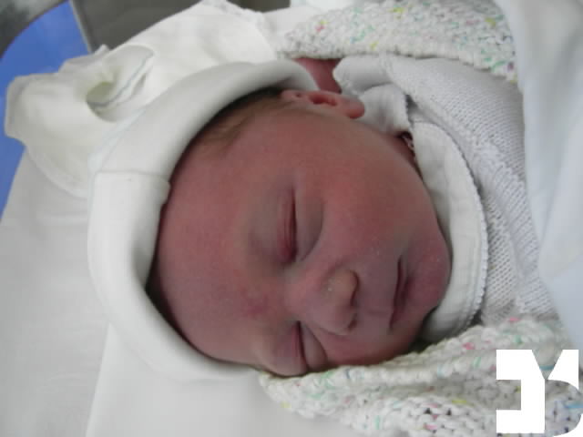 Yuki - 20090809 11.36 - 0 giorni - 711-FDM.JPG